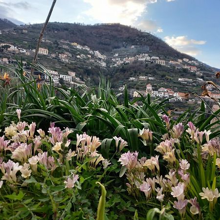 La Margherita Fiorita Ravello Exteriör bild