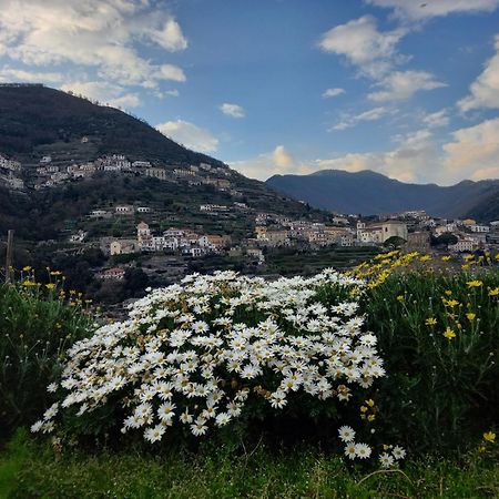 La Margherita Fiorita Ravello Exteriör bild