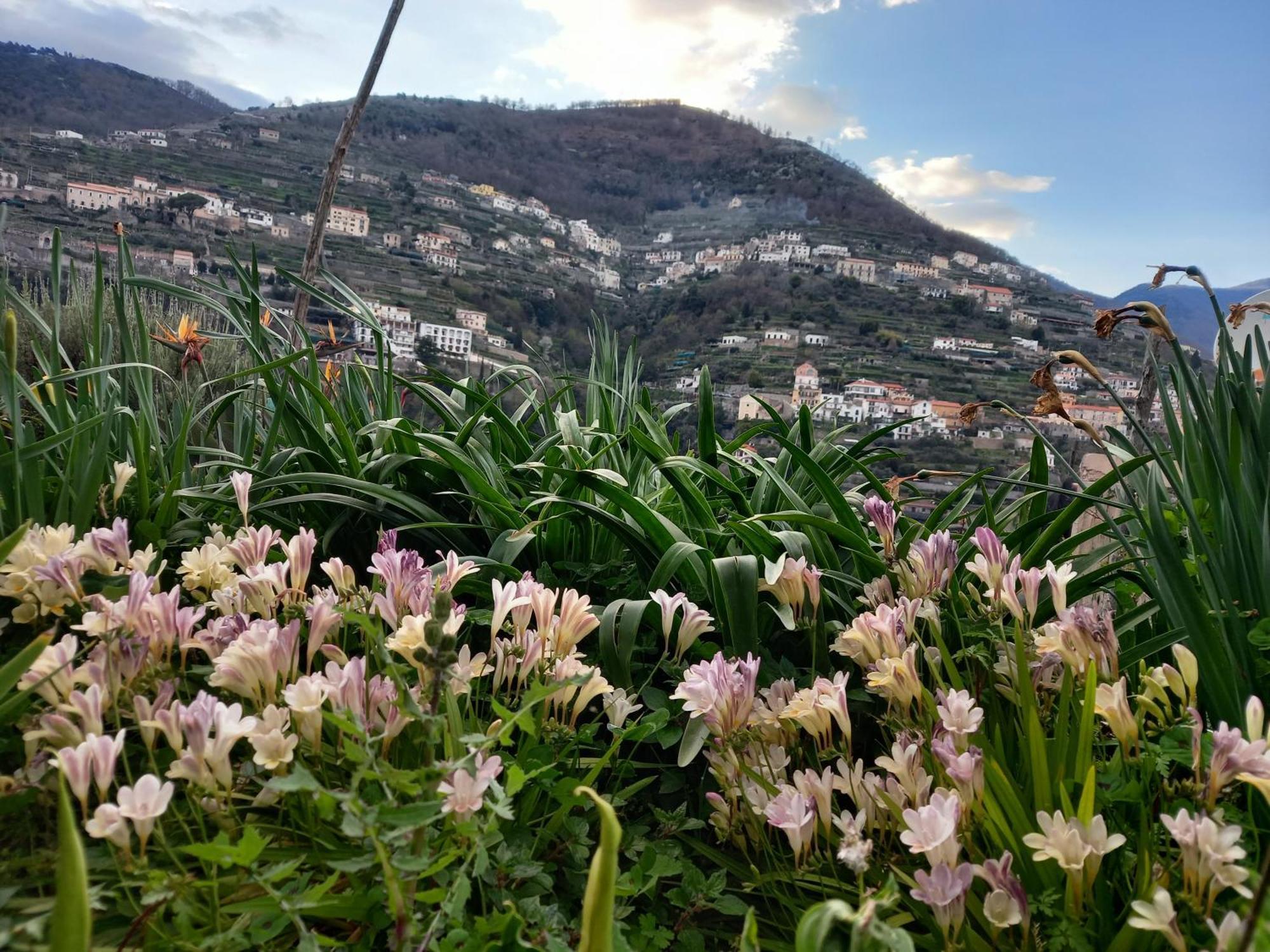 La Margherita Fiorita Ravello Exteriör bild