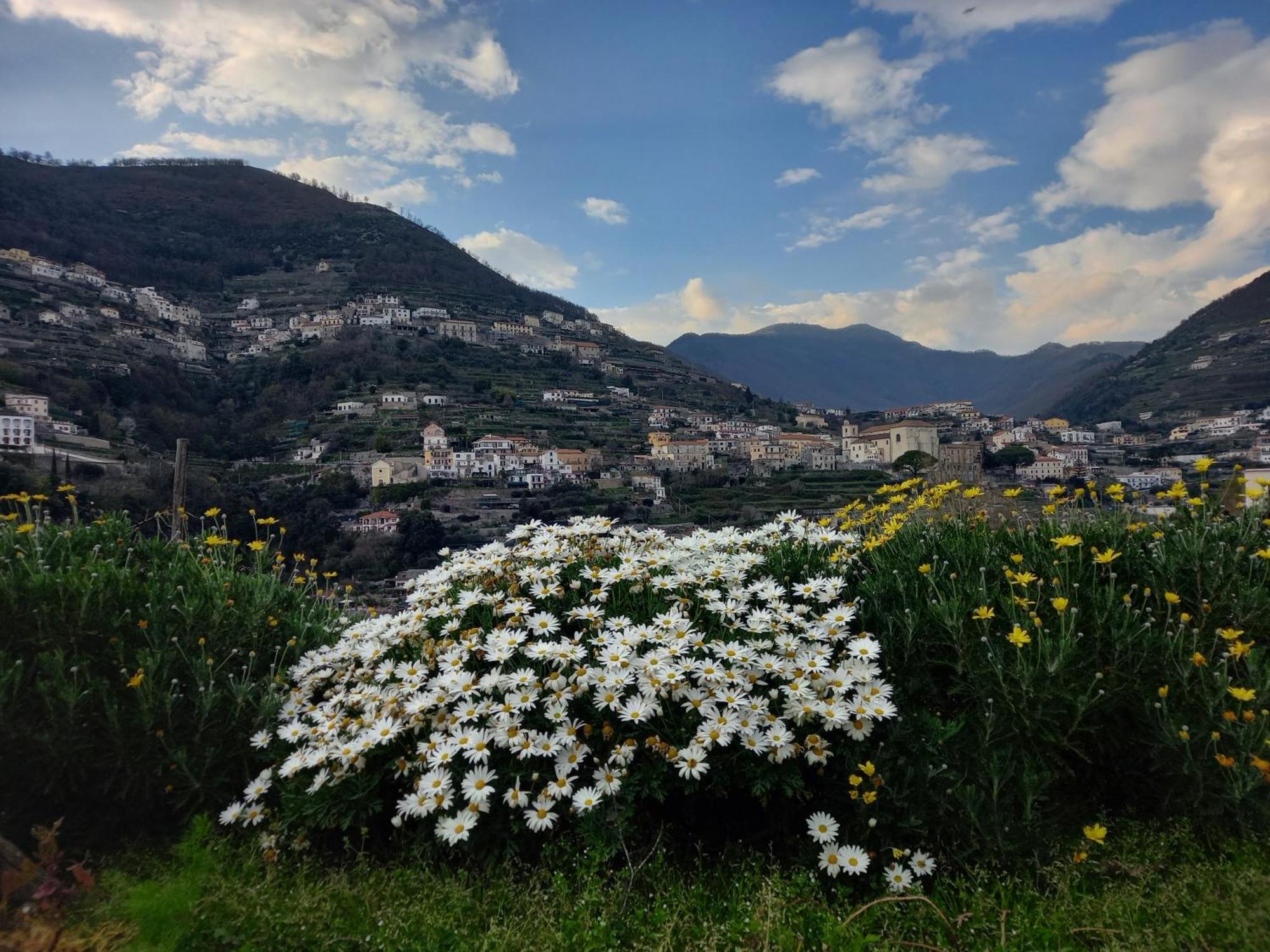 La Margherita Fiorita Ravello Exteriör bild